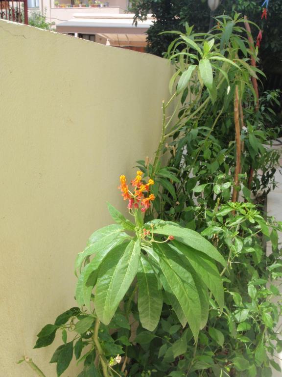 Aloe Apart Hotel Marmaris Luaran gambar