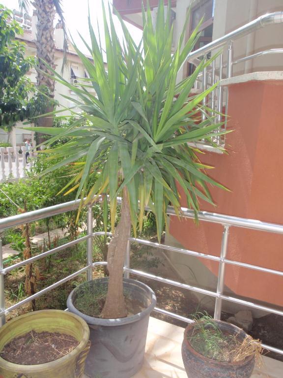 Aloe Apart Hotel Marmaris Luaran gambar