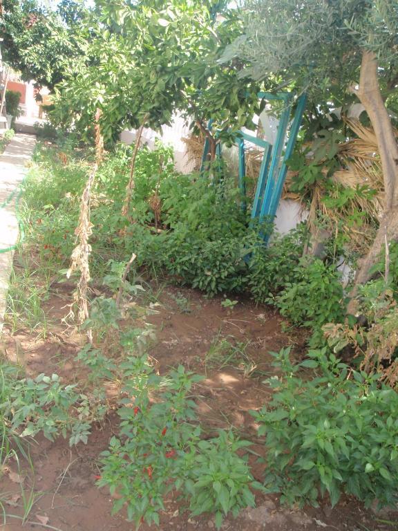 Aloe Apart Hotel Marmaris Luaran gambar
